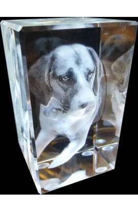 3D laser crystal gifts (Little)