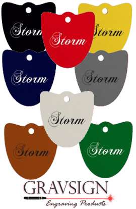 medaille-plexi-colore-blason