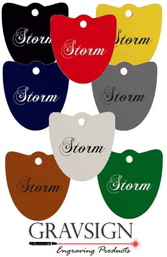 medaille-plexi-colore-blason